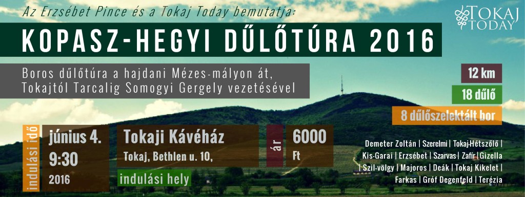 20160520tokajidulotura